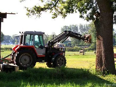 Bornhoeft *